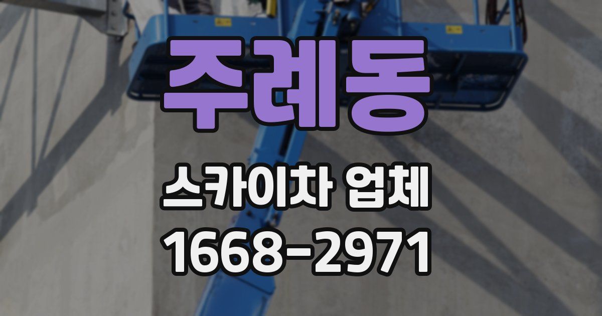 주례동 스카이차 업체