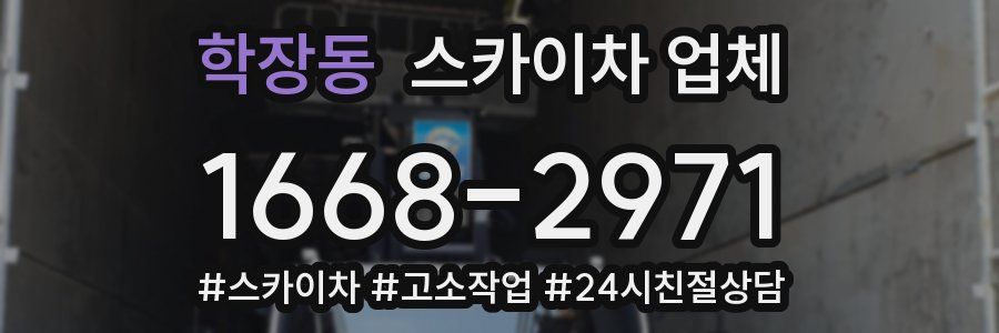 학장동 스카이차 업체