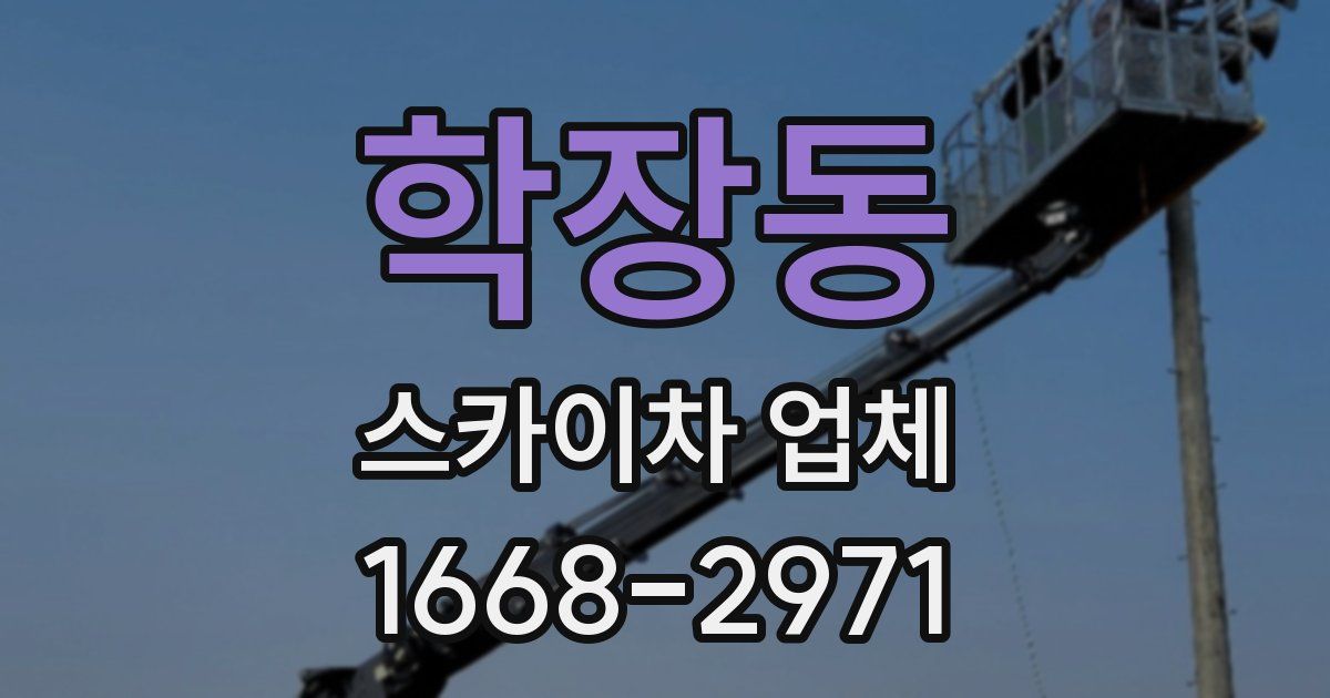 학장동 스카이차 업체
