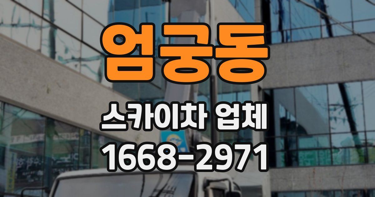 엄궁동 스카이차 업체