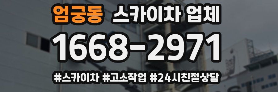 엄궁동 스카이차 업체