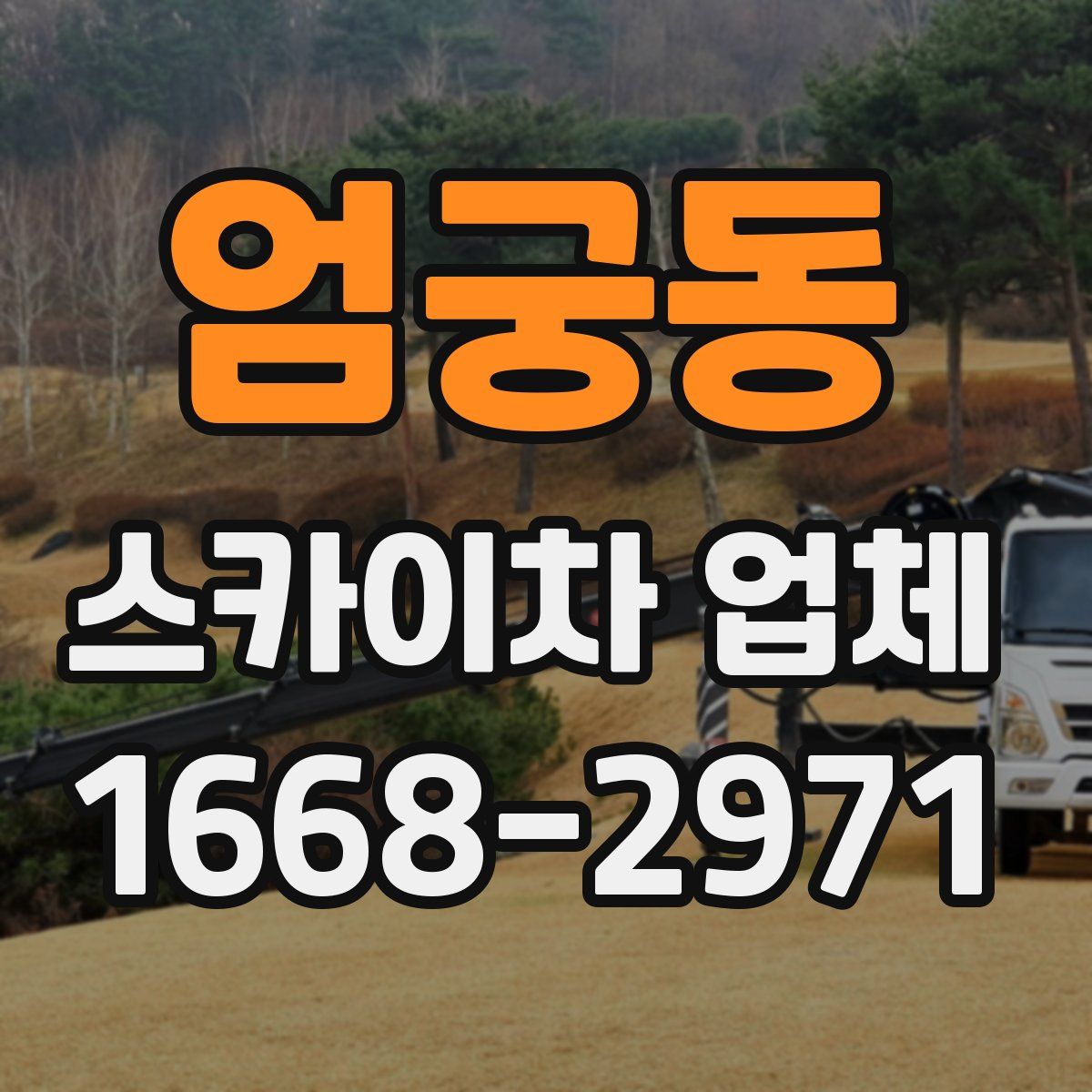 엄궁동 스카이차 업체