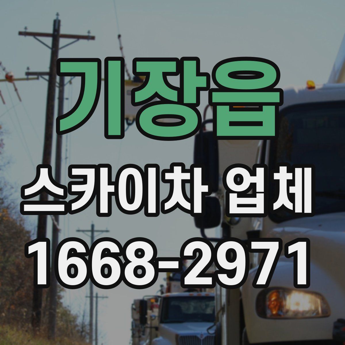 기장읍 스카이차 업체