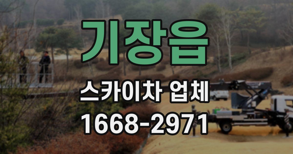 기장읍 스카이차 업체