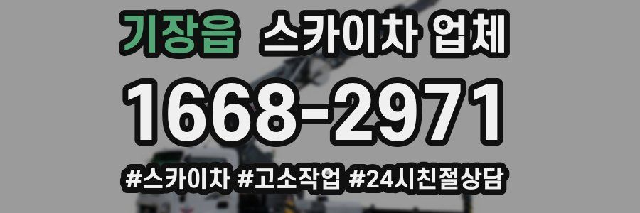 기장읍 스카이차 업체