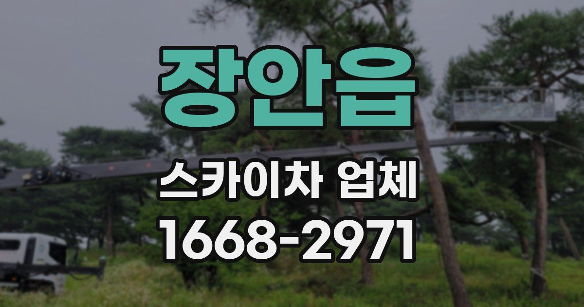 장안읍 스카이차 업체