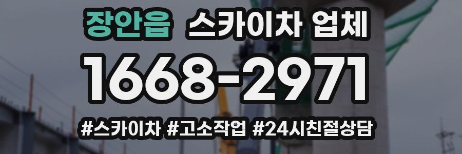 장안읍 스카이차 업체