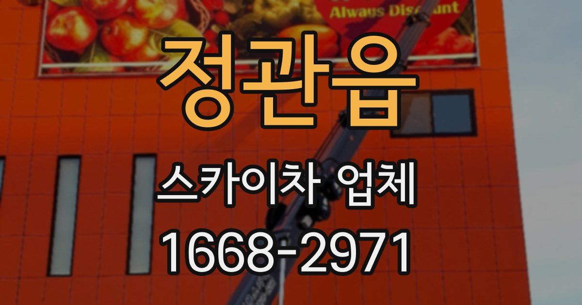 정관읍 스카이차 업체
