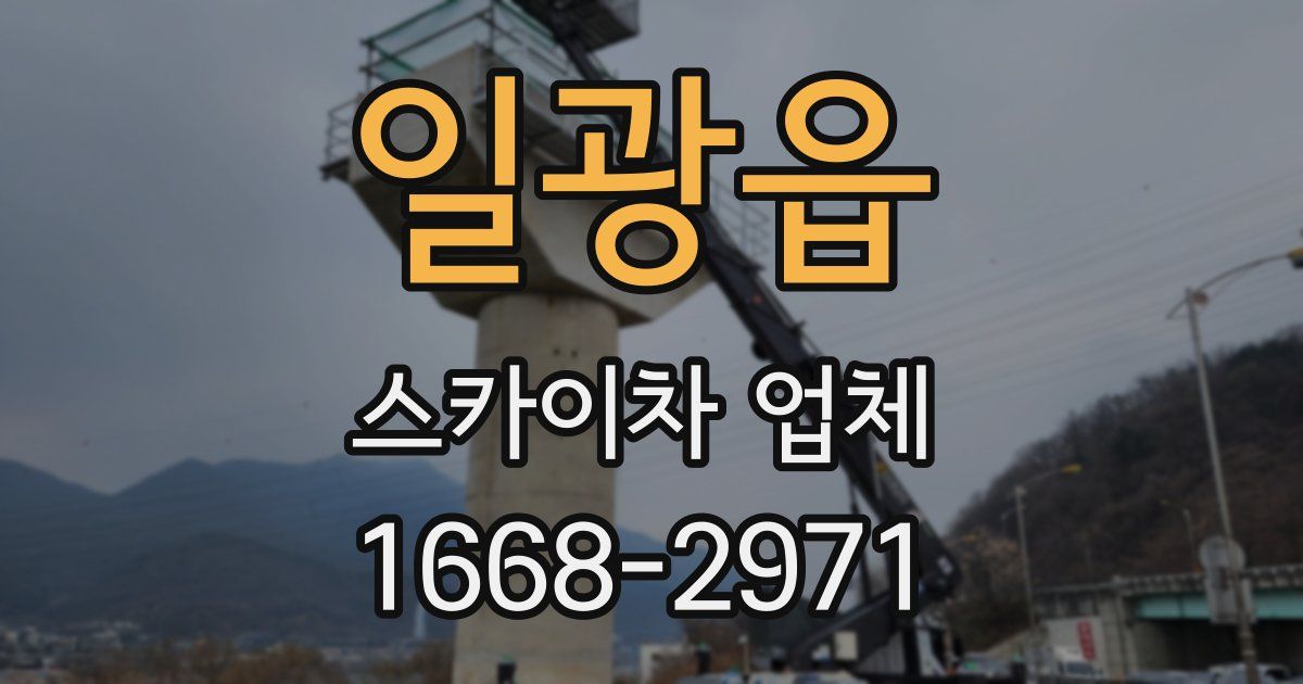 일광읍 스카이차 업체