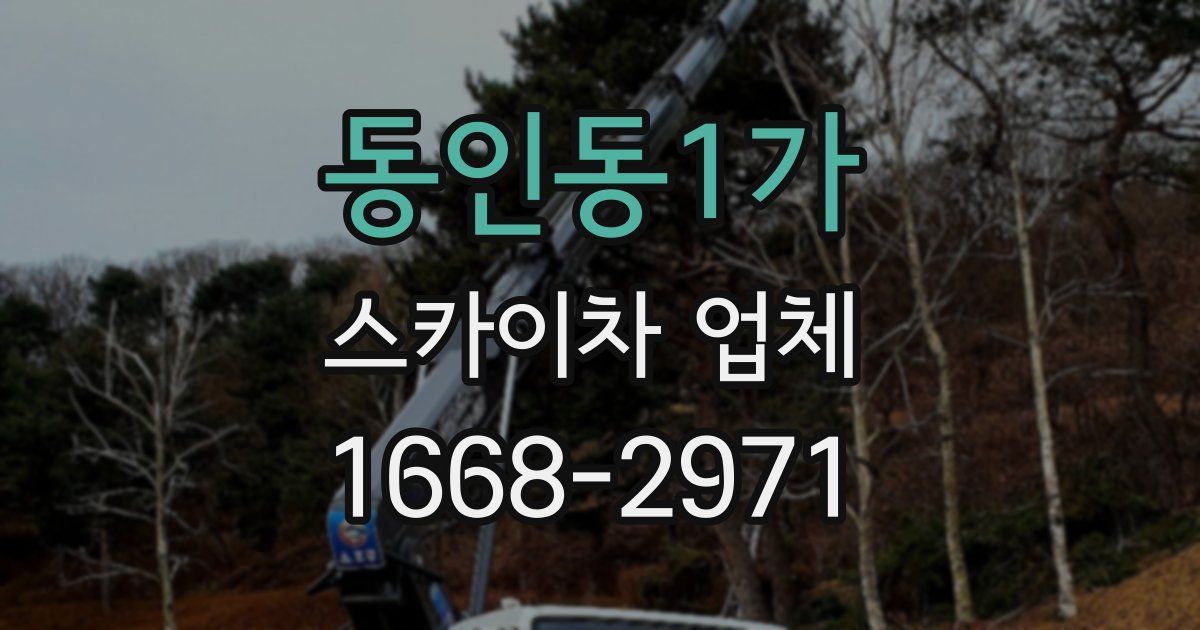 동인동1가 스카이차 업체