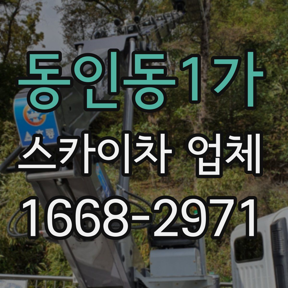동인동1가 스카이차 업체