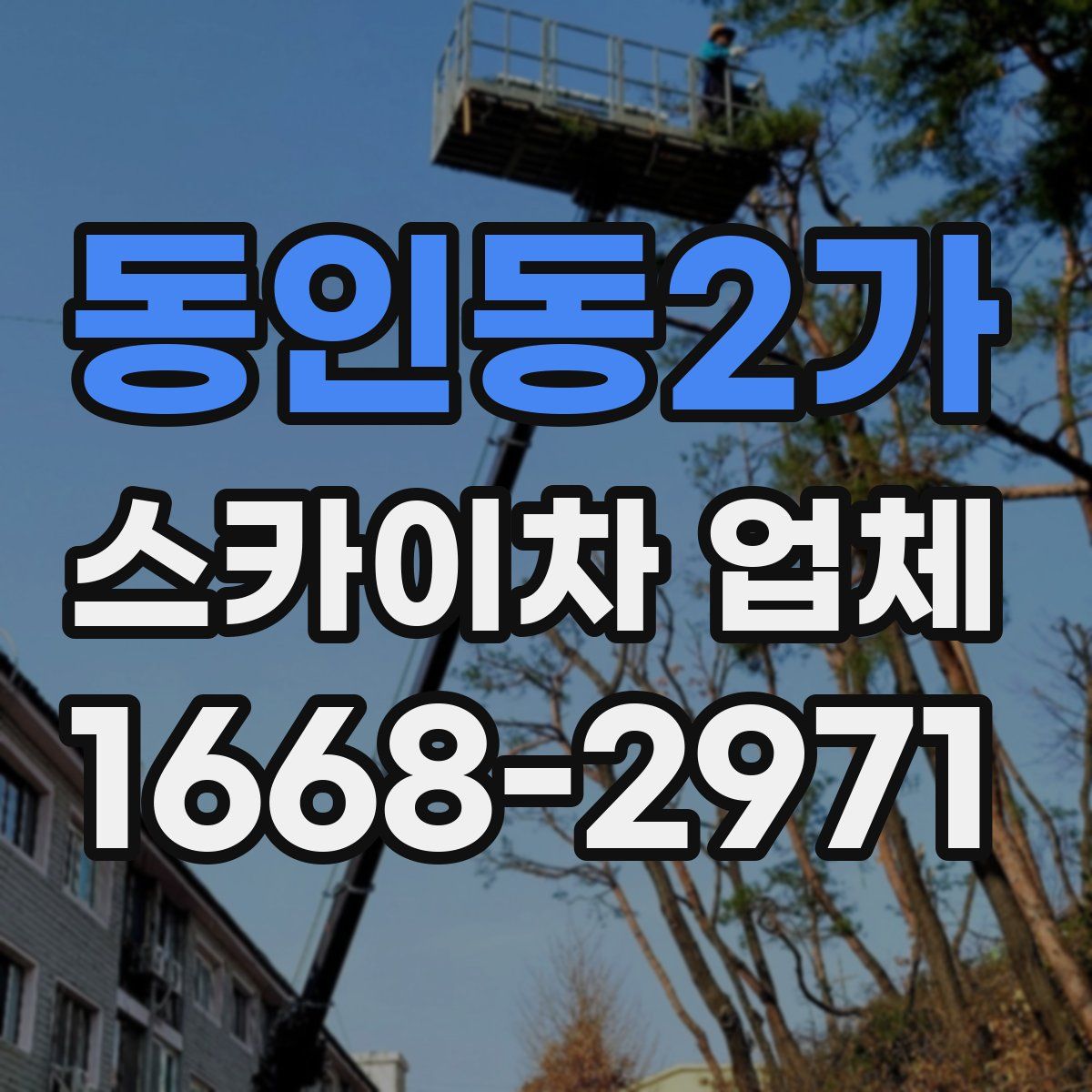 동인동2가 스카이차 업체