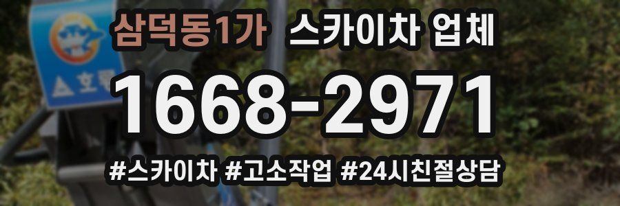 삼덕동1가 스카이차 업체