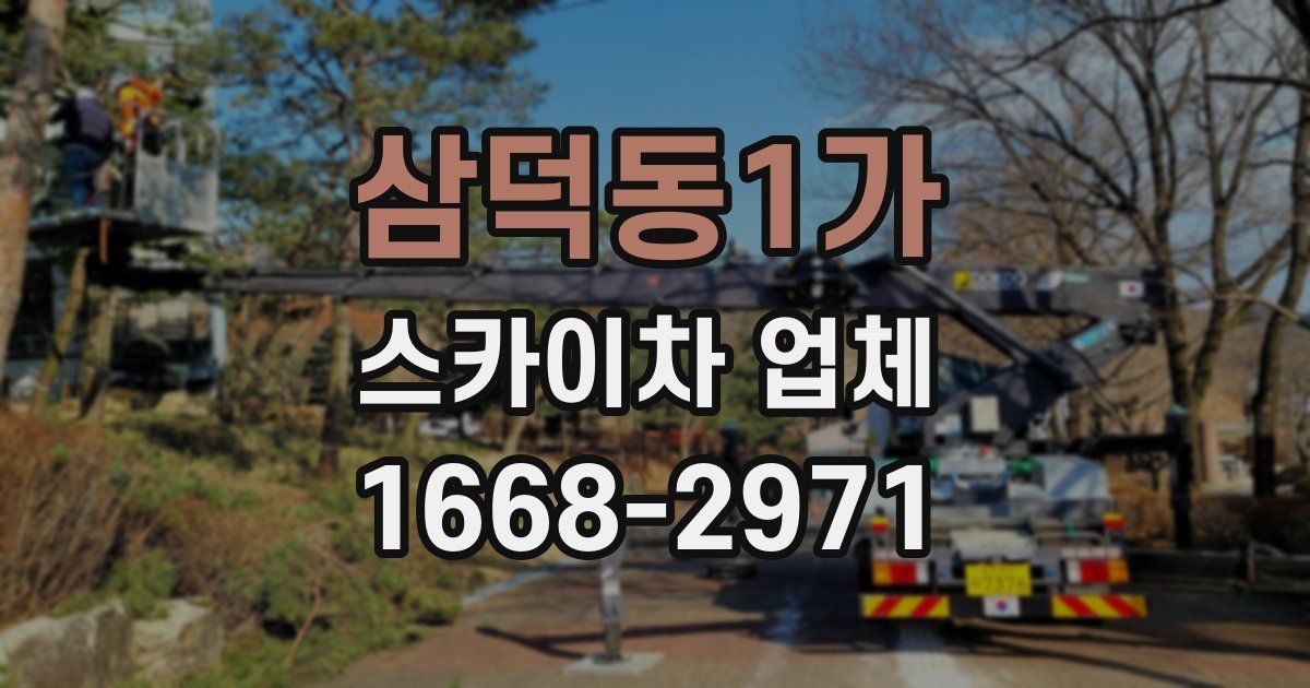 삼덕동1가 스카이차 업체