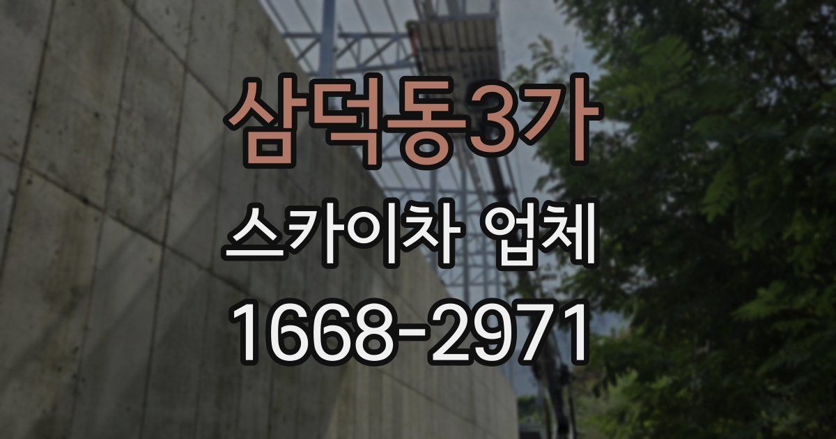 삼덕동3가 스카이차 업체