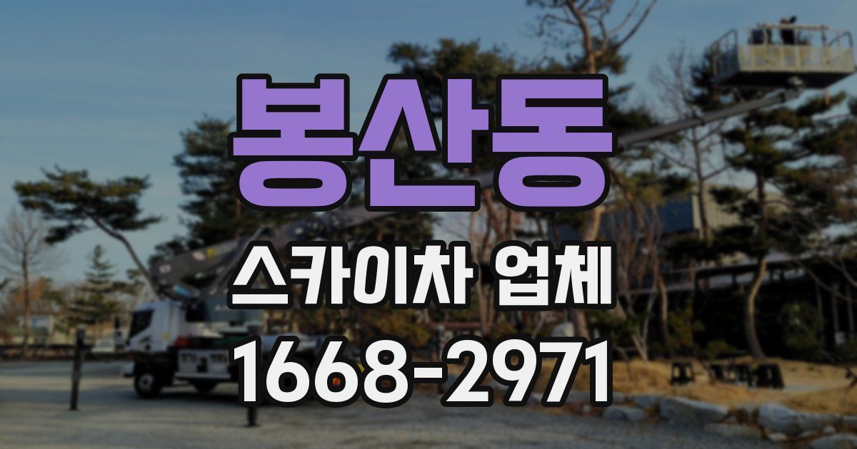 봉산동 스카이차 업체