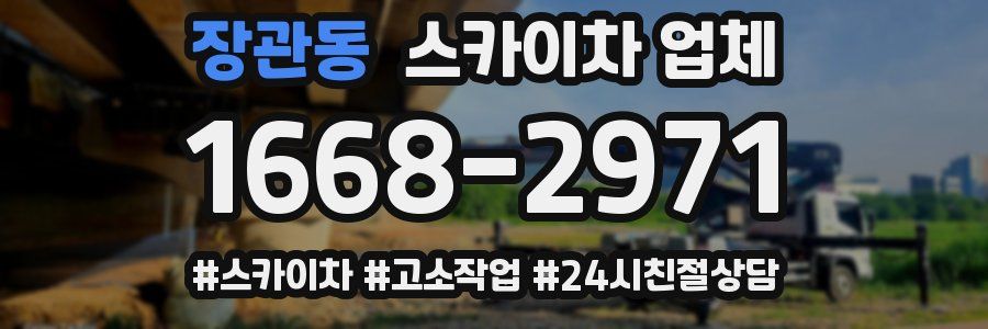장관동 스카이차 업체