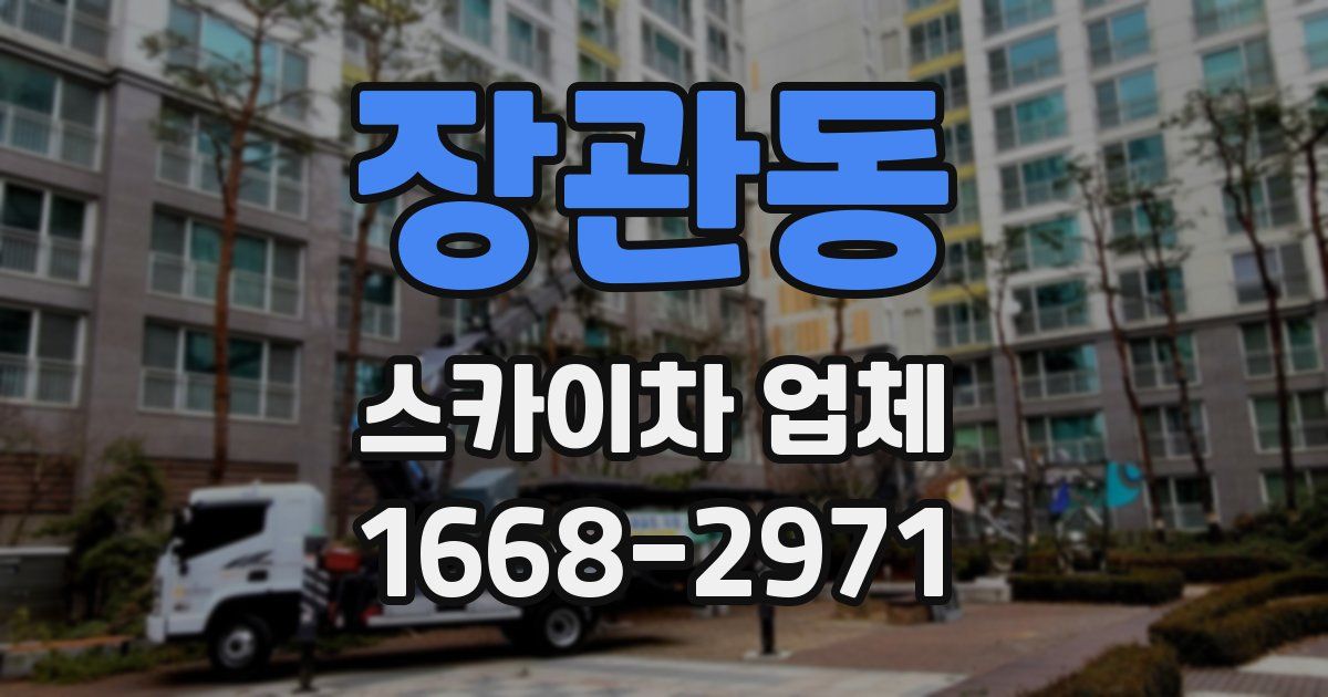 장관동 스카이차 업체