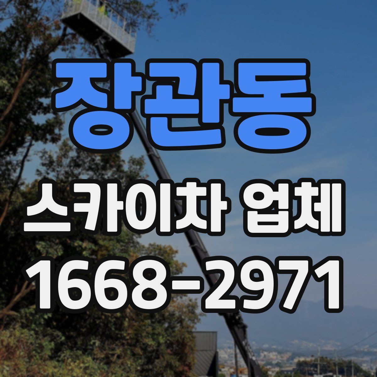 장관동 스카이차 업체