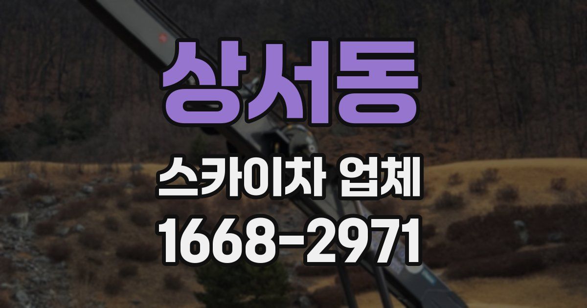 상서동 스카이차 업체