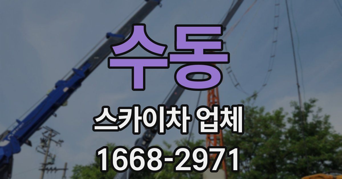 수동 스카이차 업체