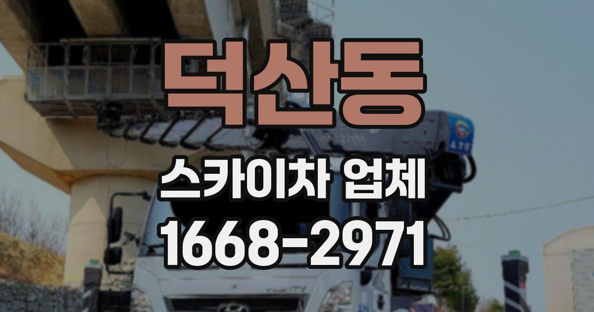 덕산동 스카이차 업체