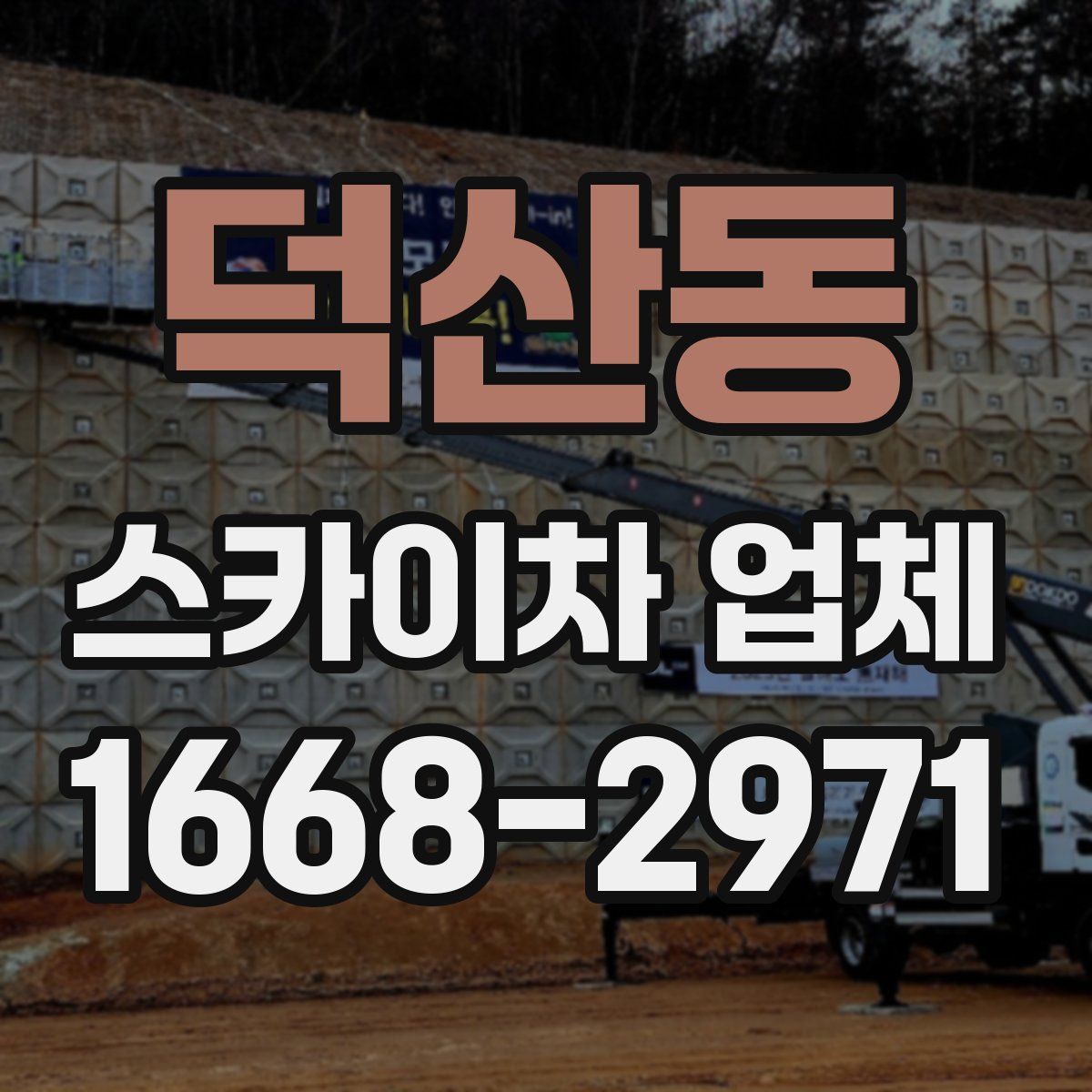 덕산동 스카이차 업체