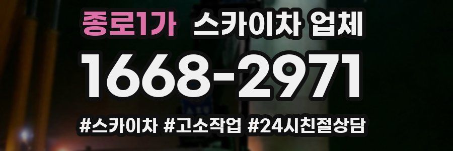 종로1가 스카이차 업체