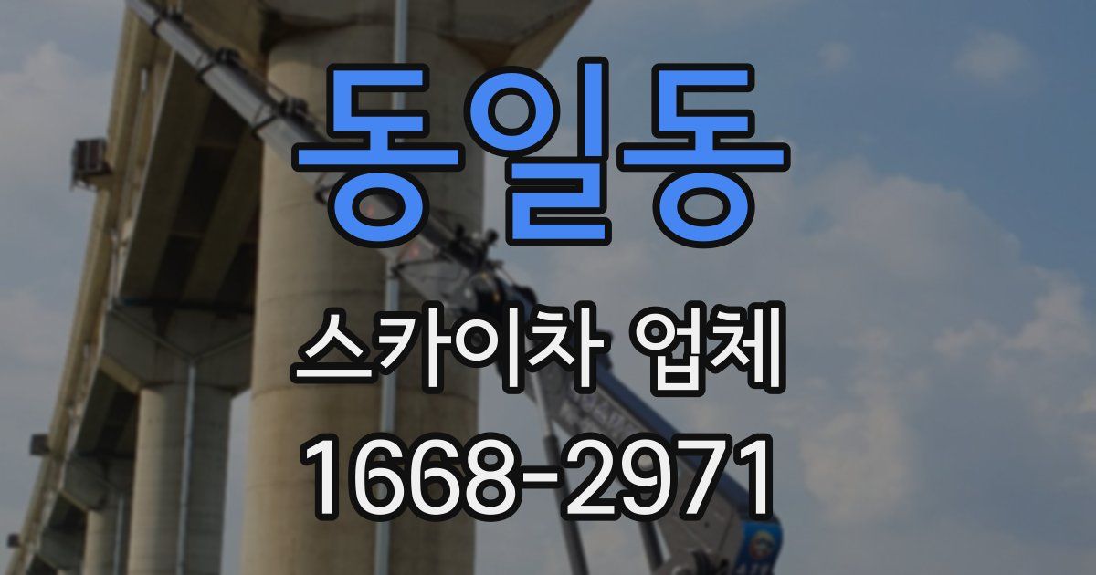동일동 스카이차 업체