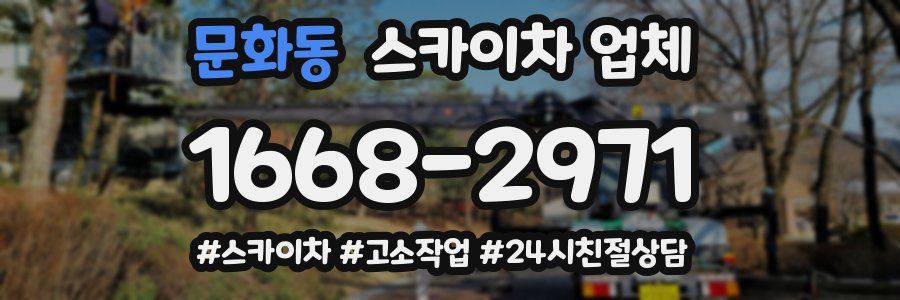 문화동 스카이차 업체