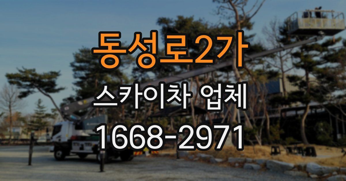 동성로2가 스카이차 업체