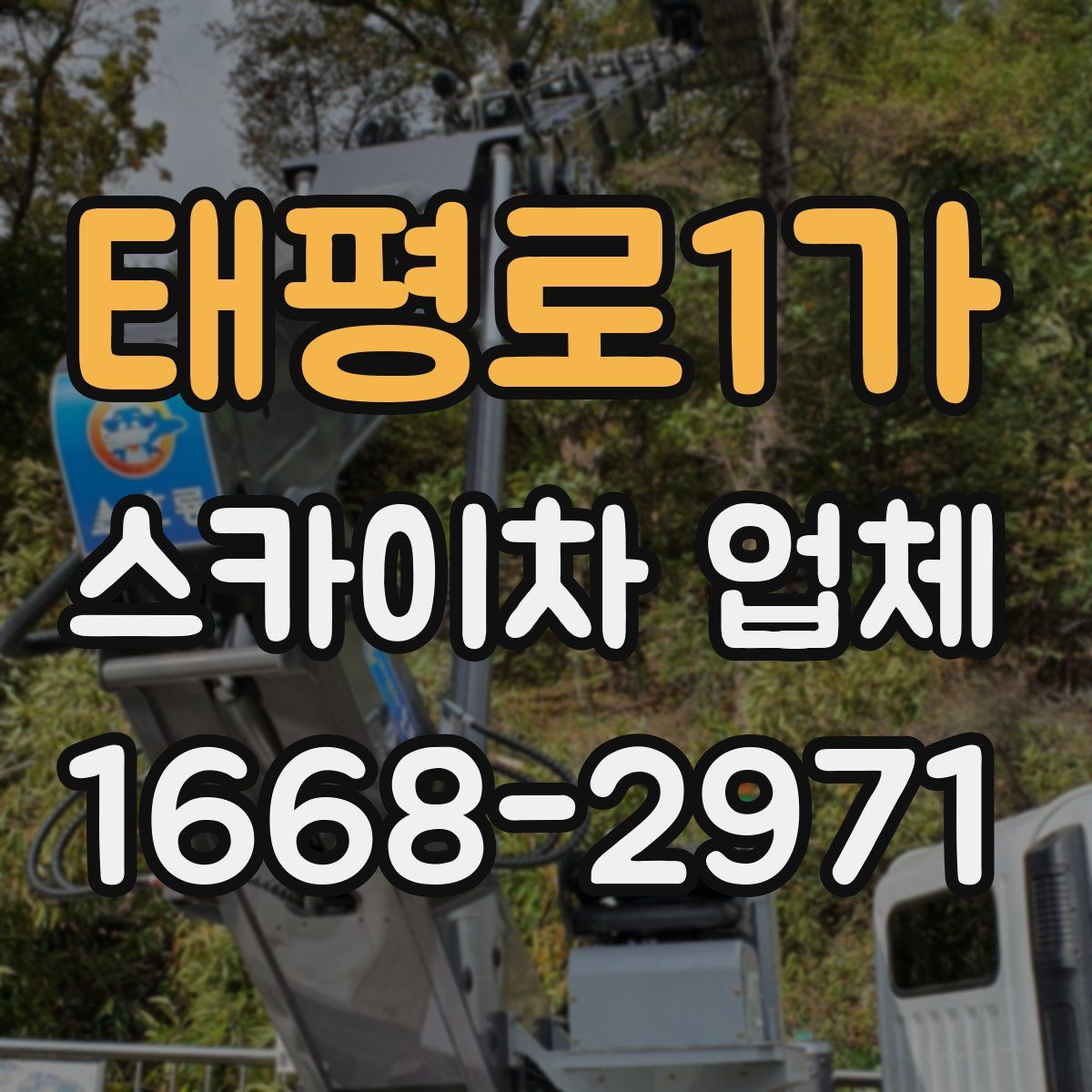 태평로1가 스카이차 업체