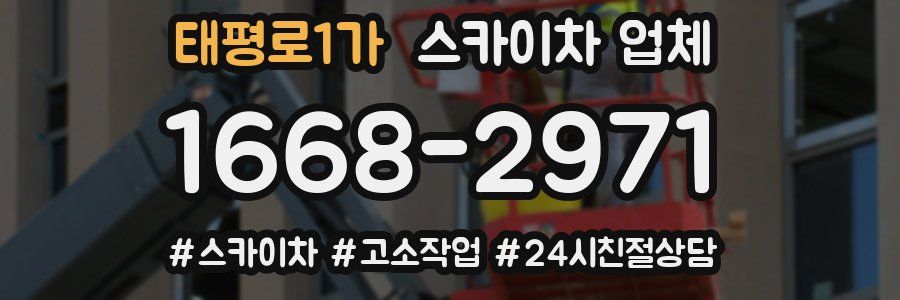 태평로1가 스카이차 업체