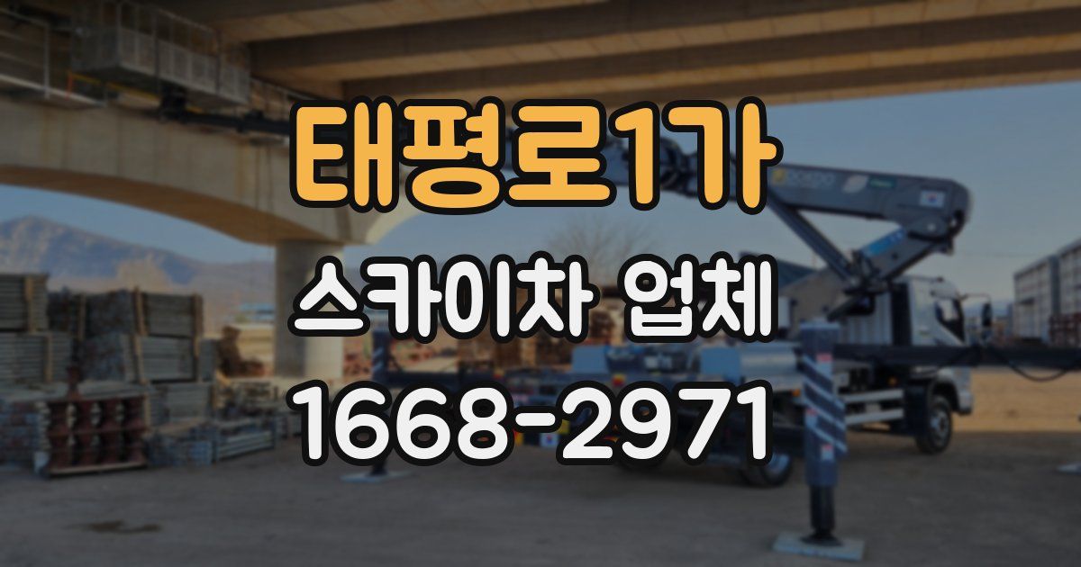 태평로1가 스카이차 업체