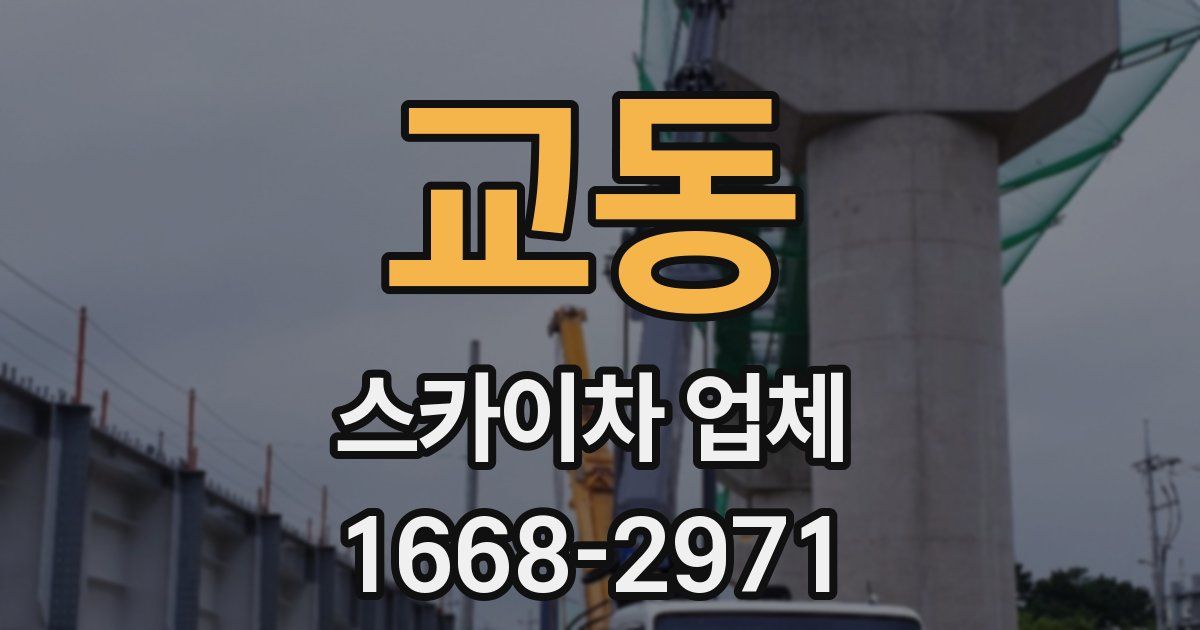 교동 스카이차 업체