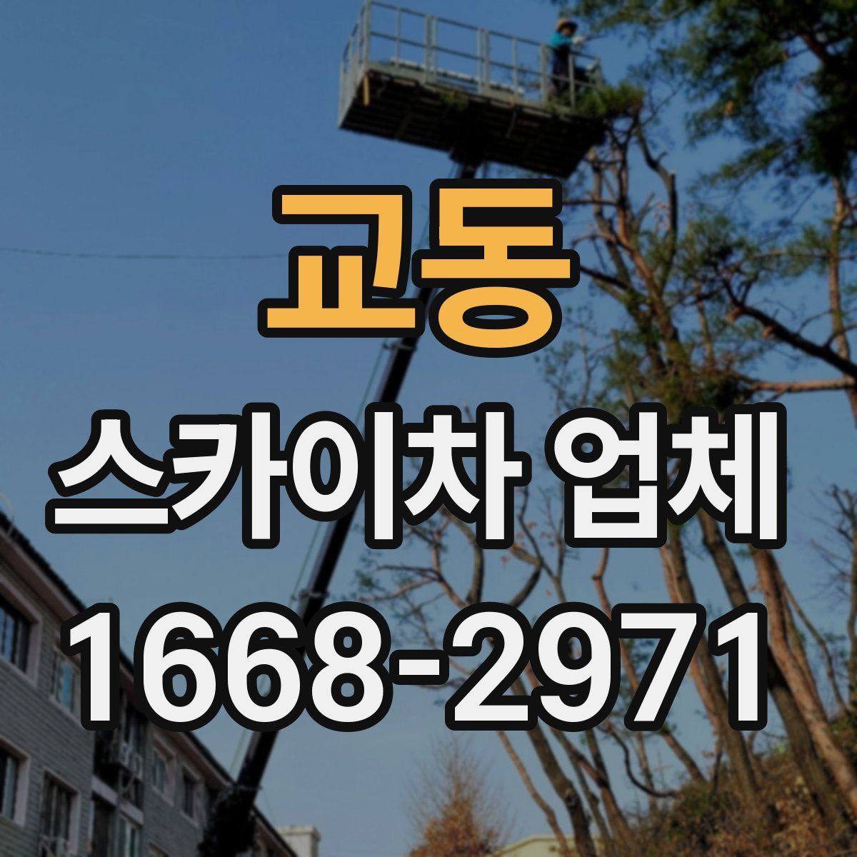 교동 스카이차 업체