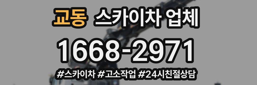 교동 스카이차 업체