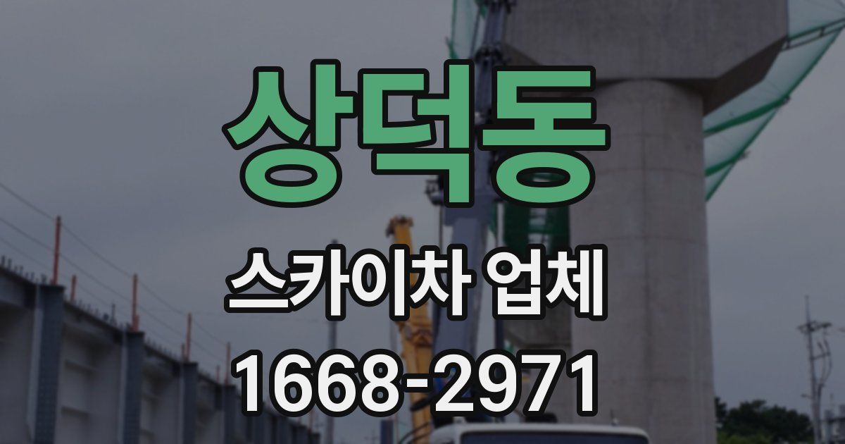 상덕동 스카이차 업체