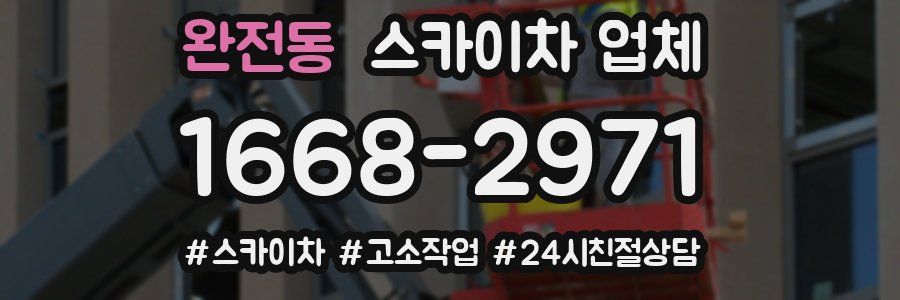 완전동 스카이차 업체