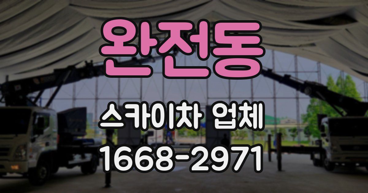완전동 스카이차 업체