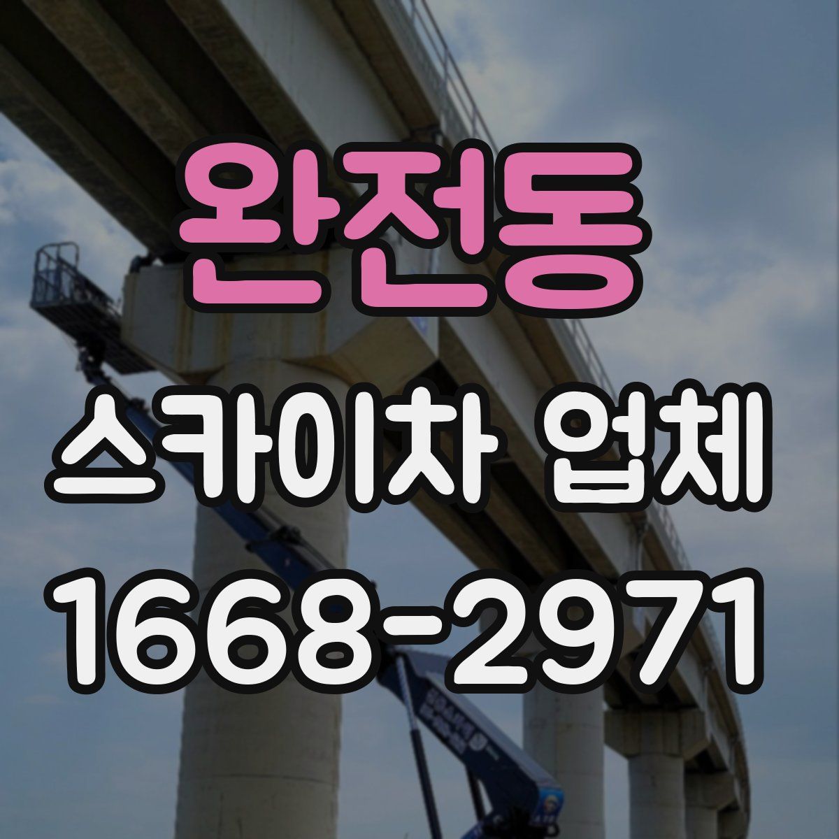 완전동 스카이차 업체