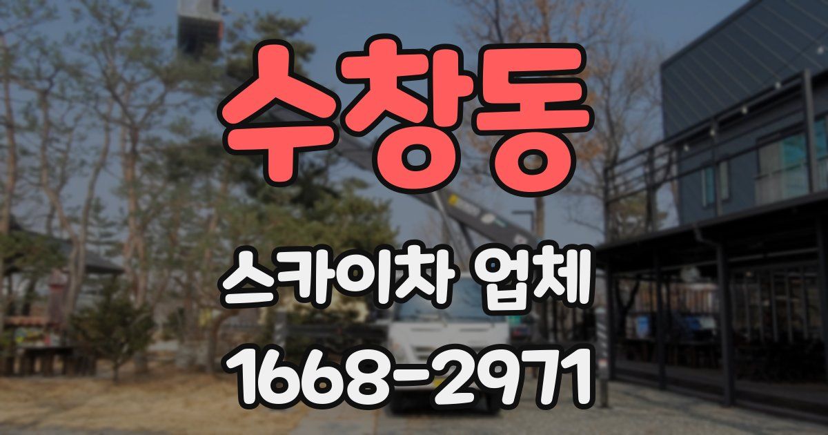 수창동 스카이차 업체