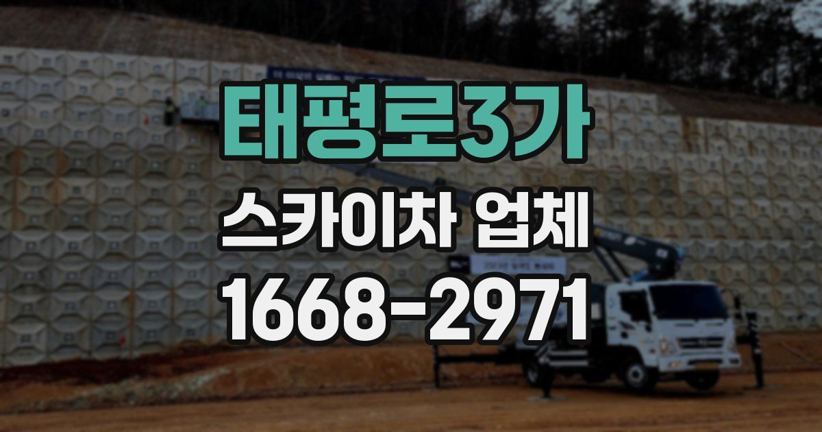 태평로3가 스카이차 업체