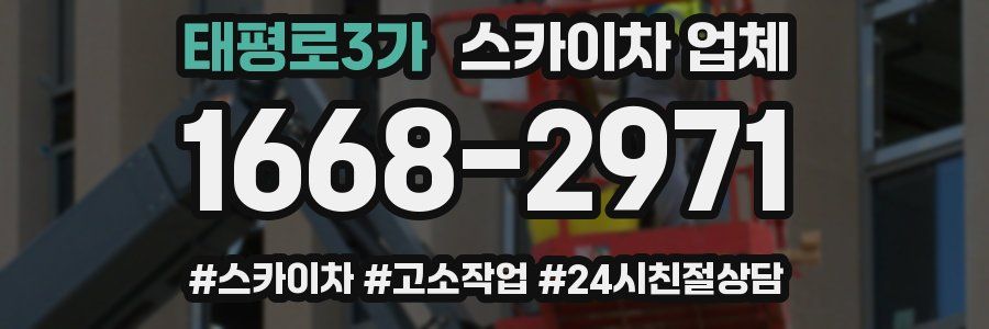 태평로3가 스카이차 업체