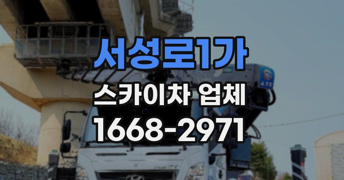 서성로1가 스카이차 업체