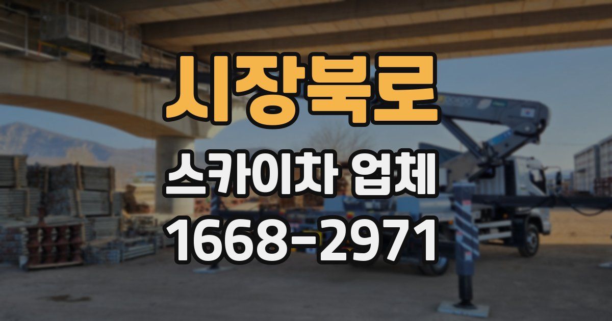 시장북로 스카이차 업체