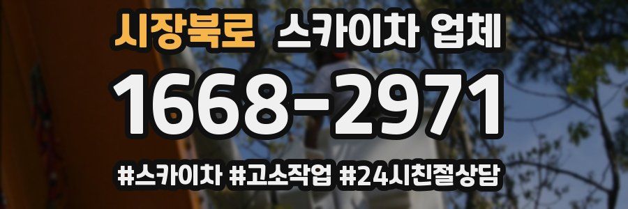 시장북로 스카이차 업체