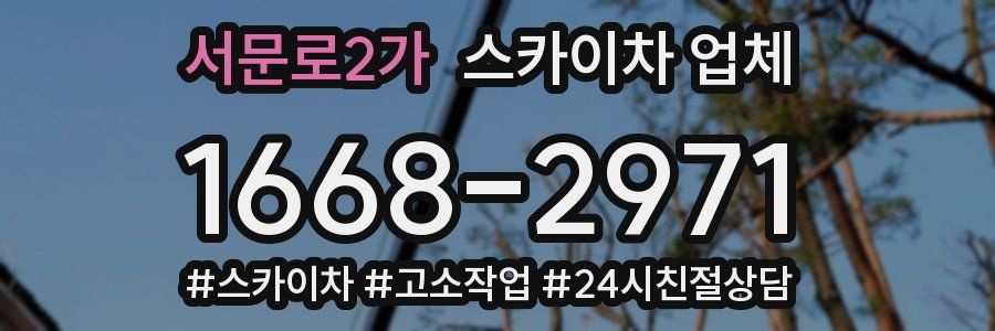 서문로2가 스카이차 업체