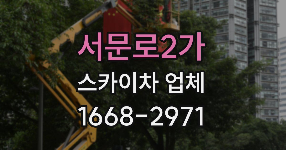 서문로2가 스카이차 업체