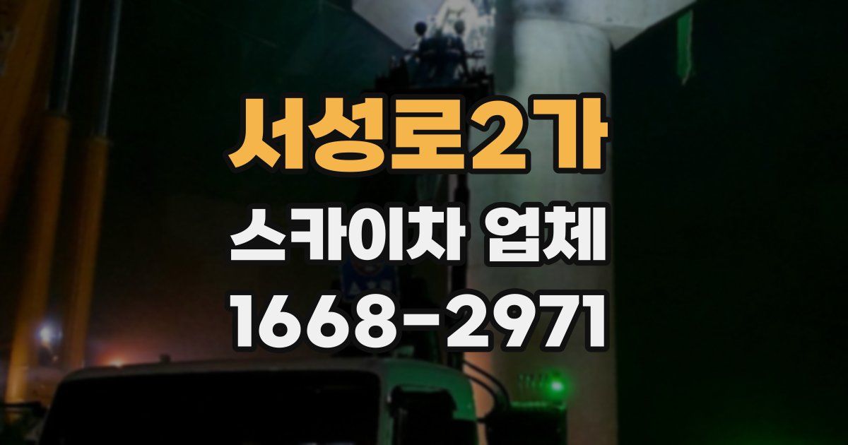 서성로2가 스카이차 업체